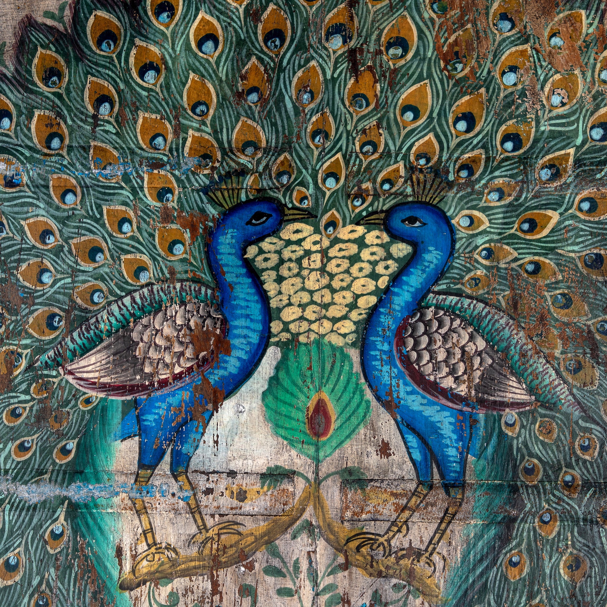 Close up image of a Ehan reclaimed Indian teak door wall art hand painted with peacock and floral motifs 190cm