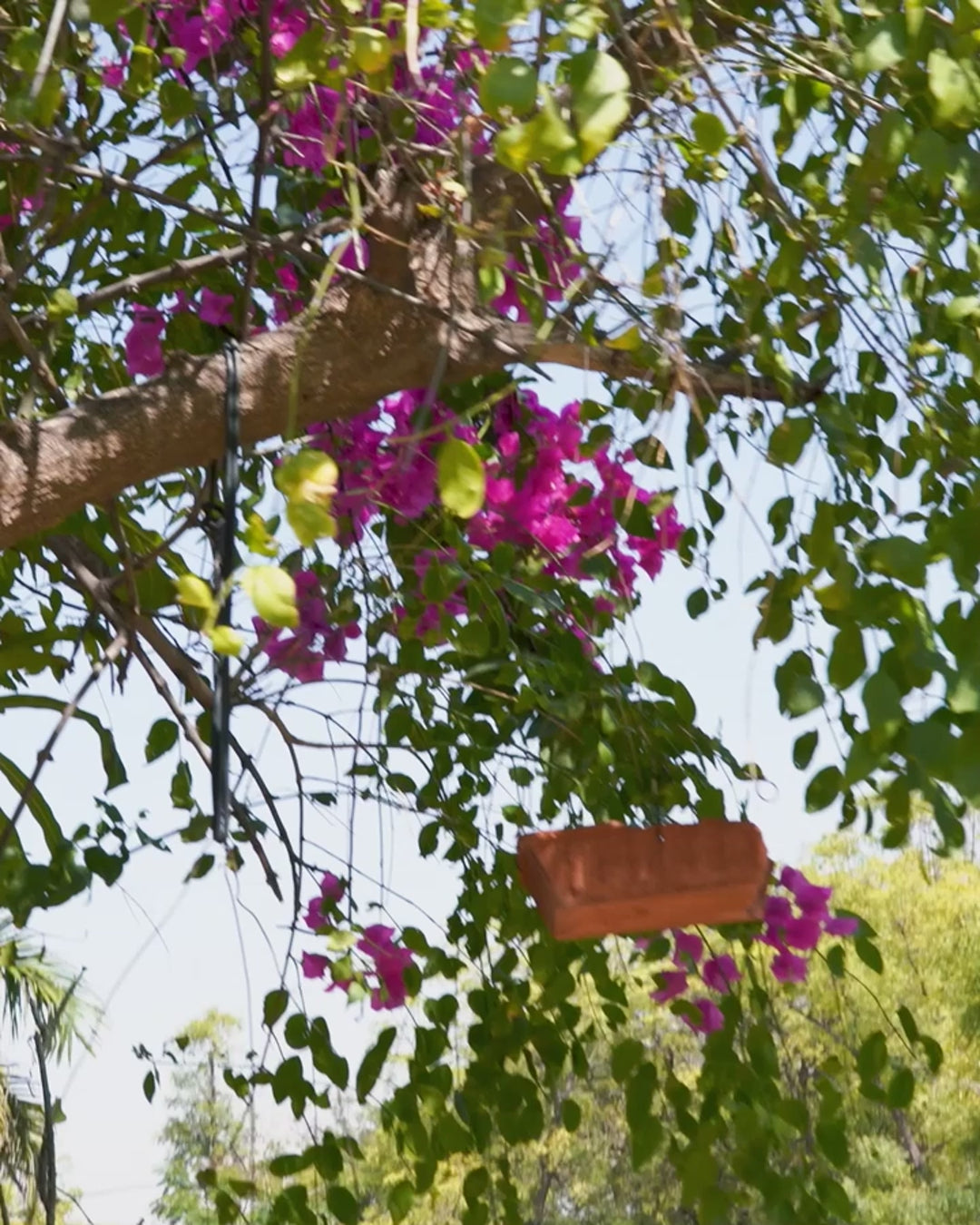 Reel showing hand‑painted Horse Chairs made from recycled teak wood with carved horse design and vibrant Indian folk art detailing, showcasing artistic and sustainable Indian furniture.